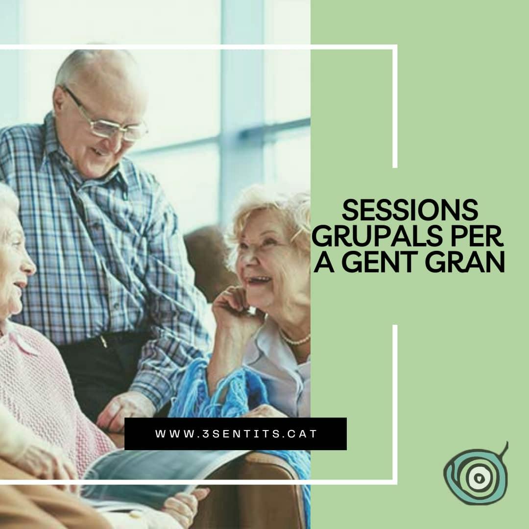 Sessions Grupals per a Gent Gran