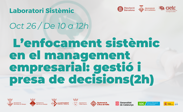 L'enfocament sistèmic en el management empresarial: gestió i presa de decisions 