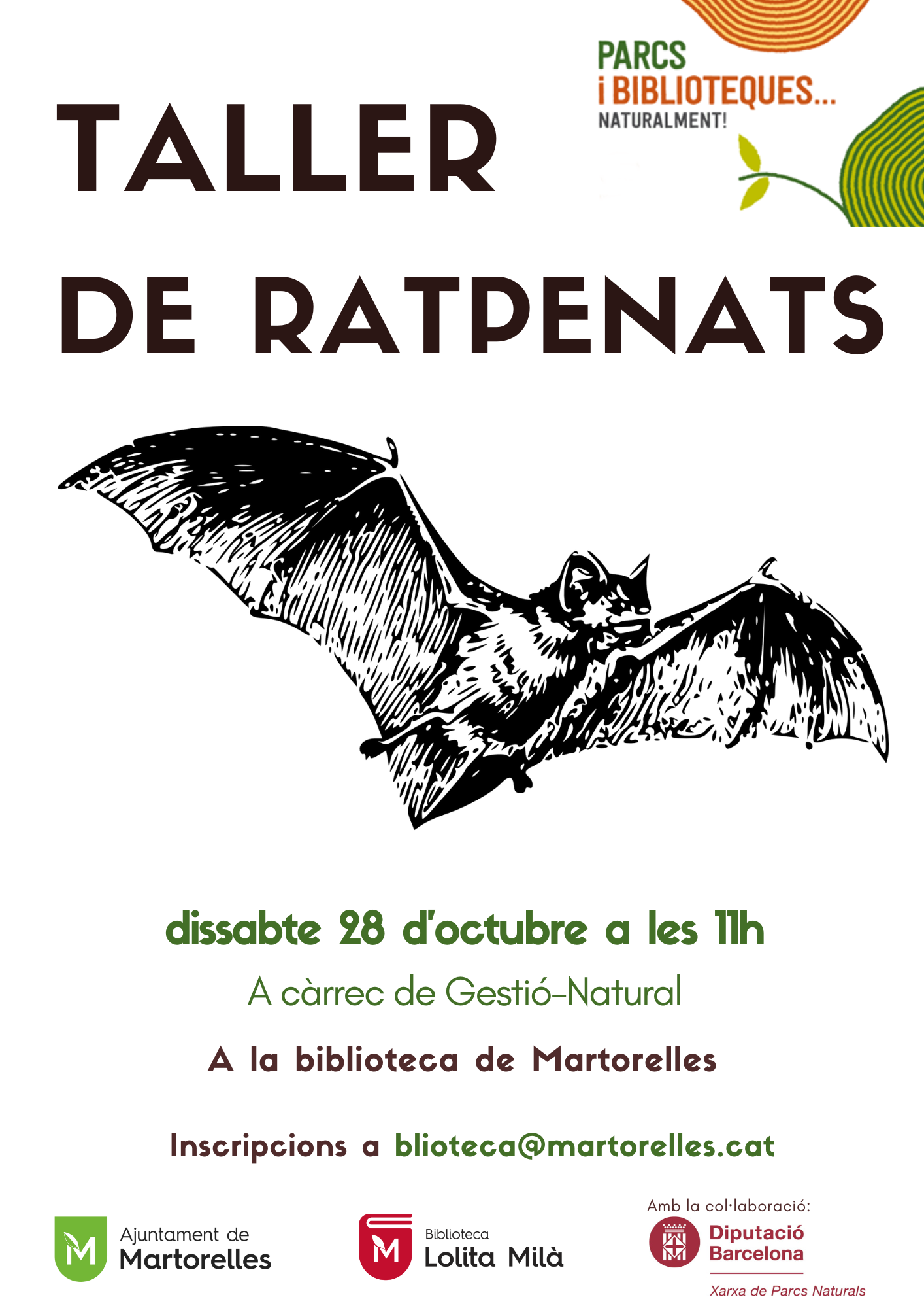 Taller d'educació ambiental: "Ratpenats"